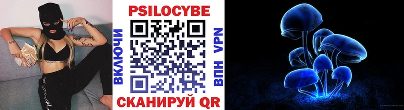 Галлюциногенные грибы Psilocybine cubensis  Лыткарино 